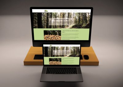 Site internet Occitarn Bois